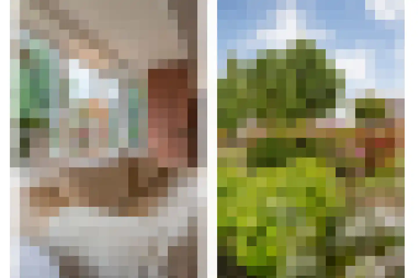 Goudvink 22 Rijssen thumbnail 17