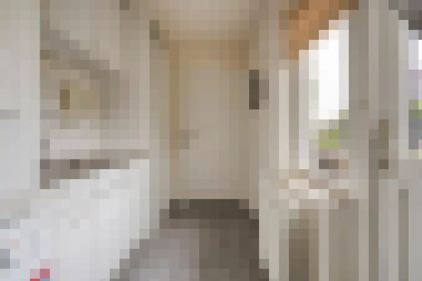 Goudvink 22 Rijssen thumbnail 27