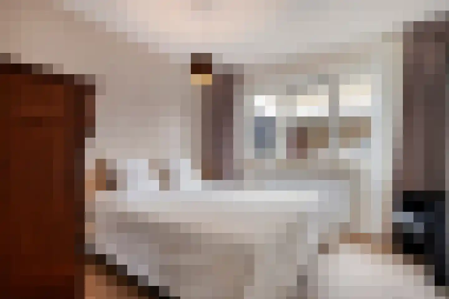 Goudvink 22 Rijssen thumbnail 28
