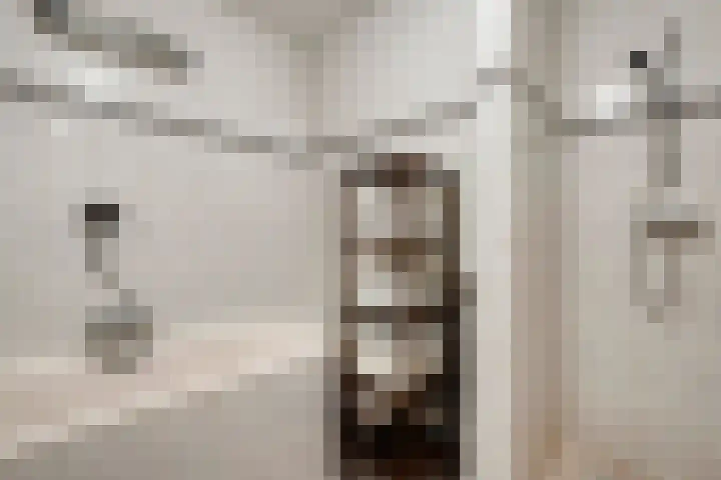 Goudvink 22 Rijssen thumbnail 30