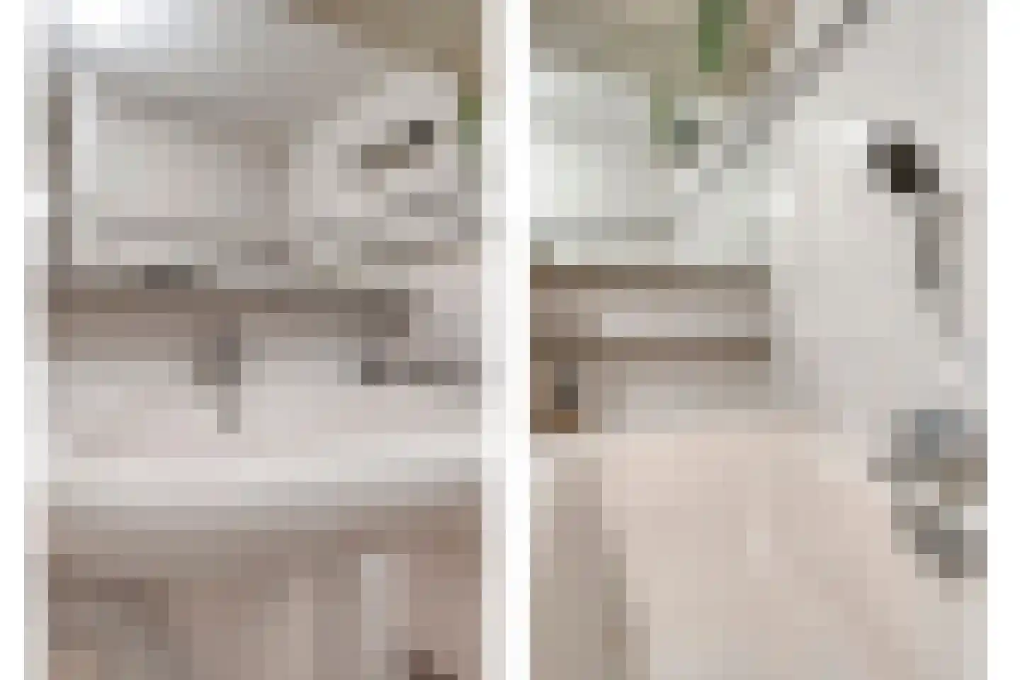 Goudvink 22 Rijssen thumbnail 32