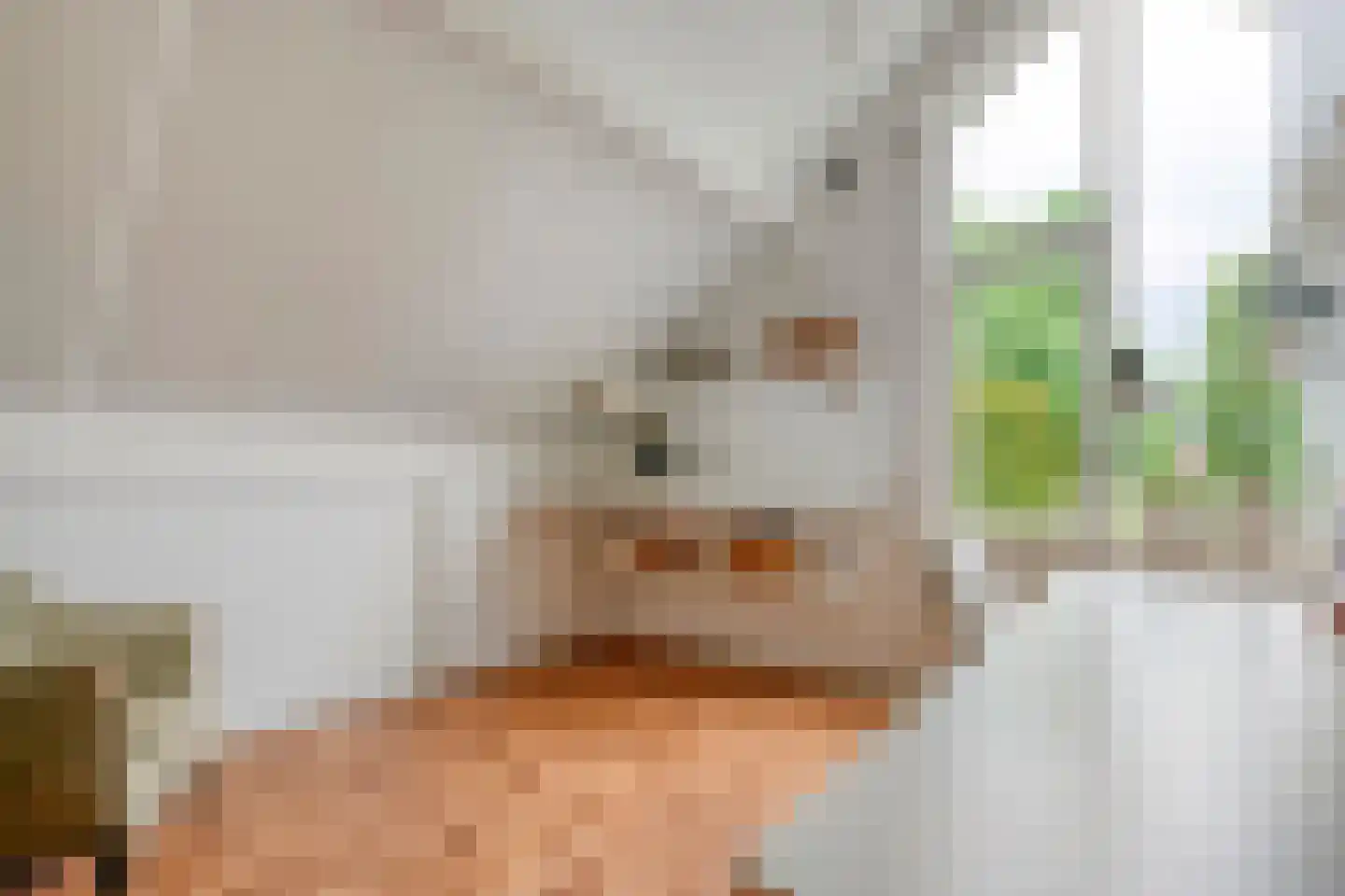 Goudvink 22 Rijssen thumbnail 37