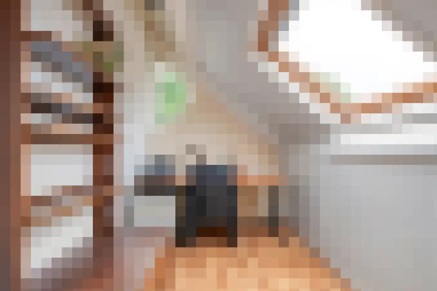 Goudvink 22 Rijssen thumbnail 39