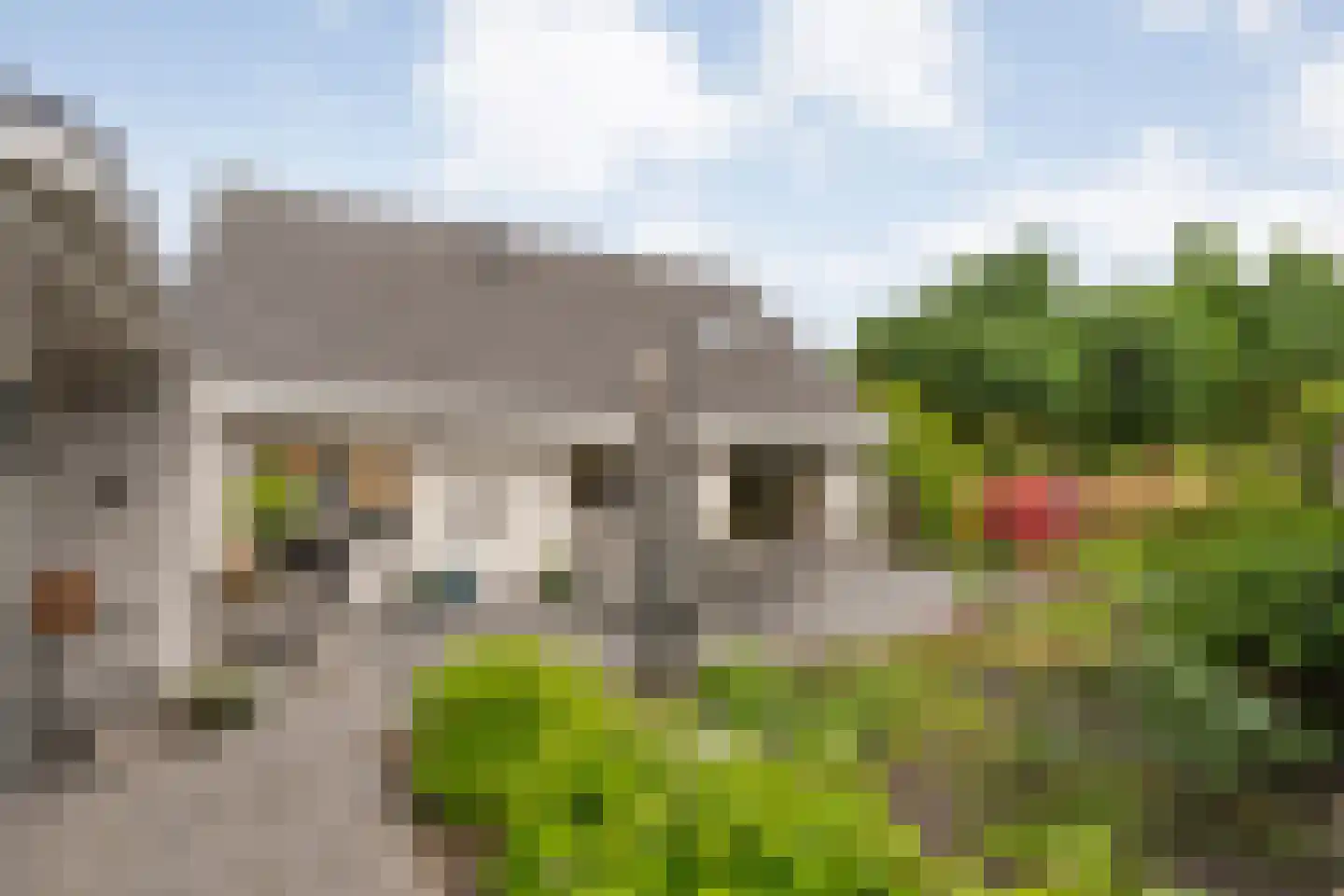 Goudvink 22 Rijssen thumbnail 48