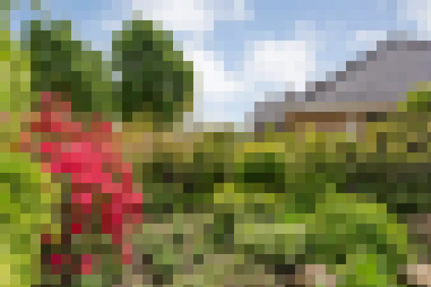 Goudvink 22 Rijssen thumbnail 50