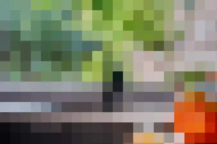 Goudvink 22 Veenendaal thumbnail 14
