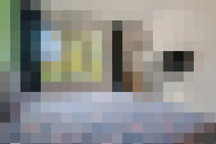 Goudvink 22 Veenendaal thumbnail 17