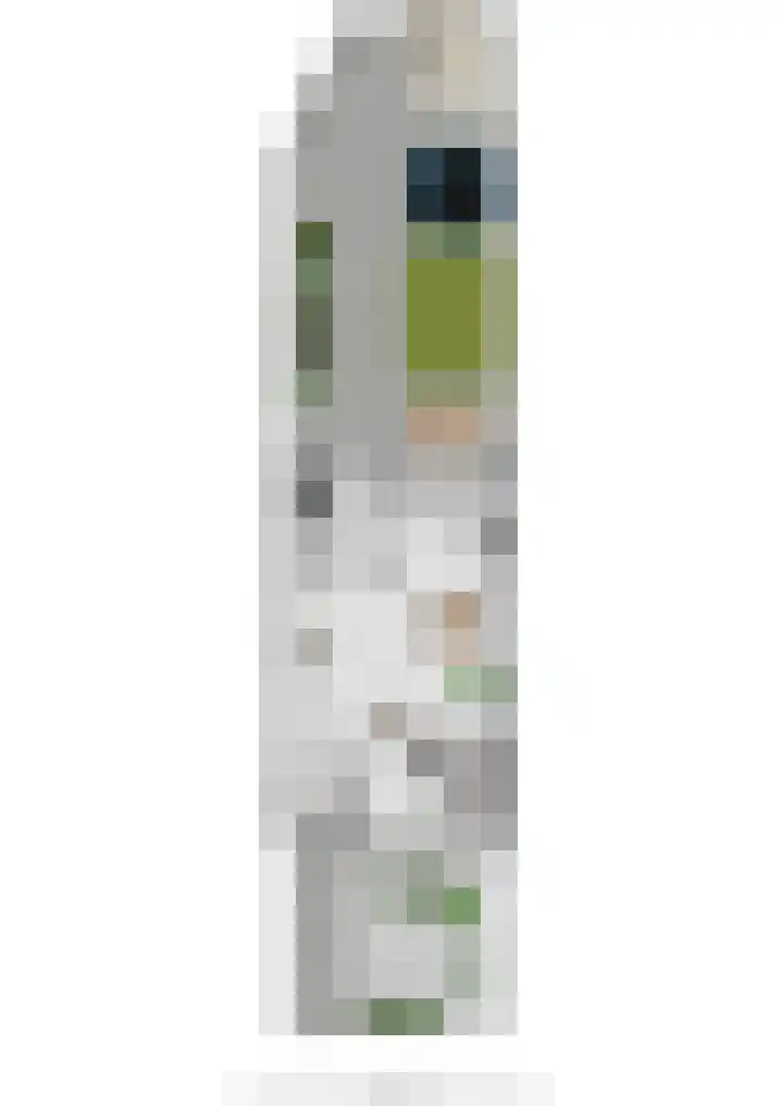 Goudvink 22 Veenendaal thumbnail 33