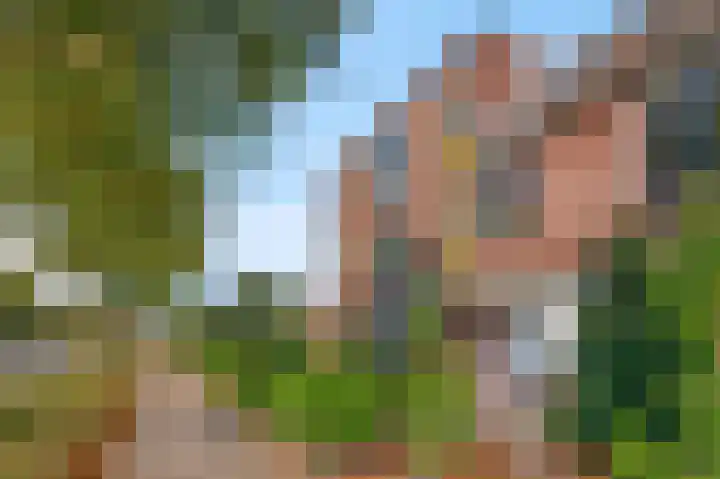 Goudvink 22 Veenendaal thumbnail 5