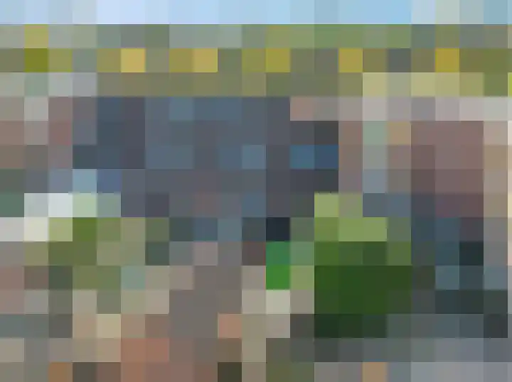 Goudvink 22 Veenendaal thumbnail 6