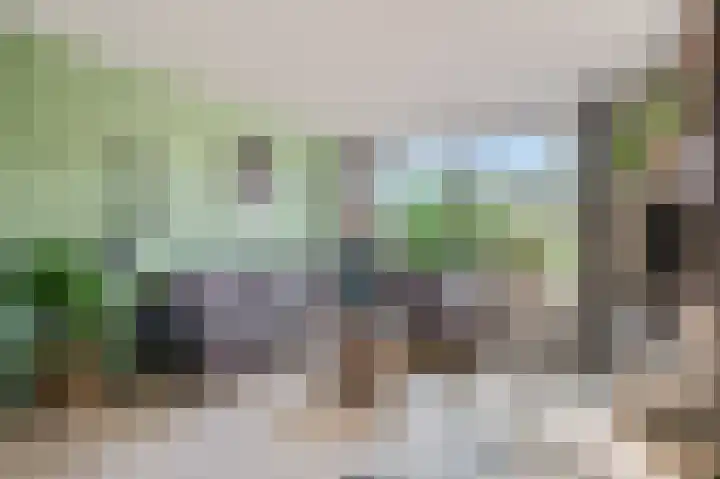 Goudvink 22 Veenendaal thumbnail 9