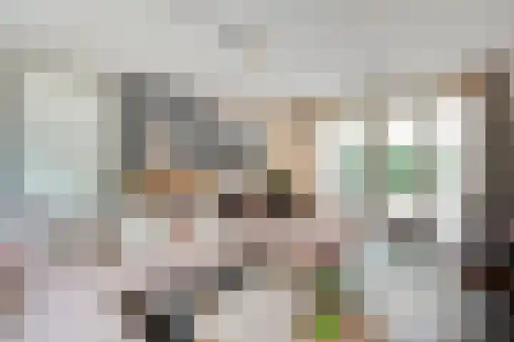 Goudvink 23 Olst thumbnail 10