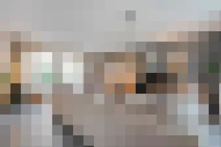 Goudvink 23 Olst thumbnail 11