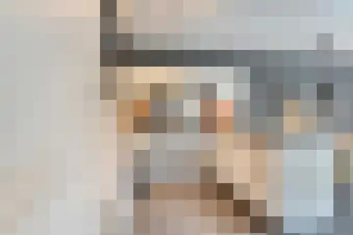Goudvink 23 Olst thumbnail 16