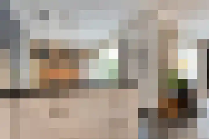 Goudvink 23 Olst thumbnail 17