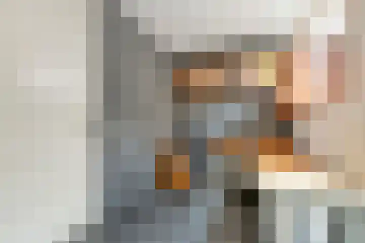 Goudvink 23 Olst thumbnail 18