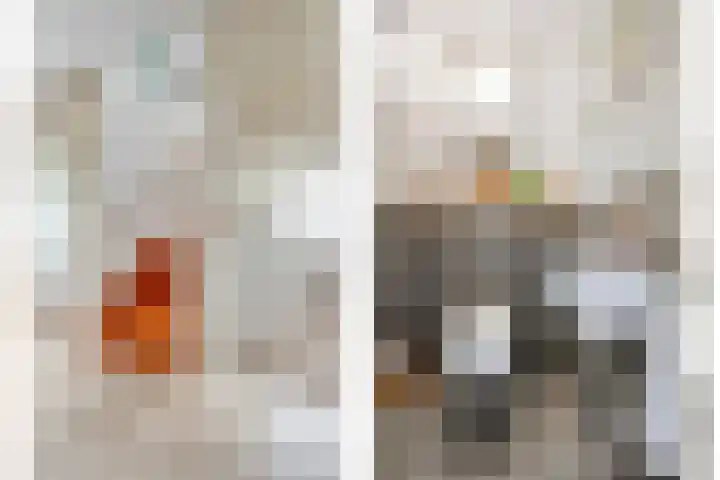 Goudvink 23 Olst thumbnail 19
