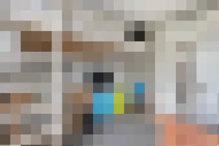 Goudvink 23 Olst thumbnail 21