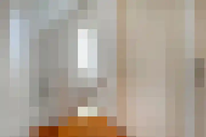 Goudvink 23 Olst thumbnail 26