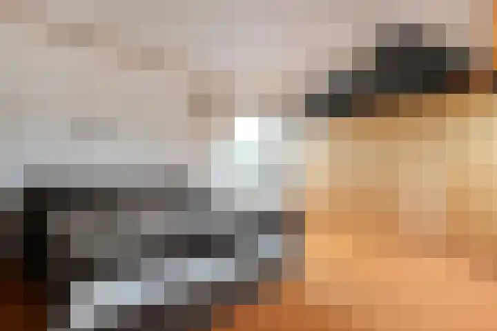 Goudvink 23 Olst thumbnail 27