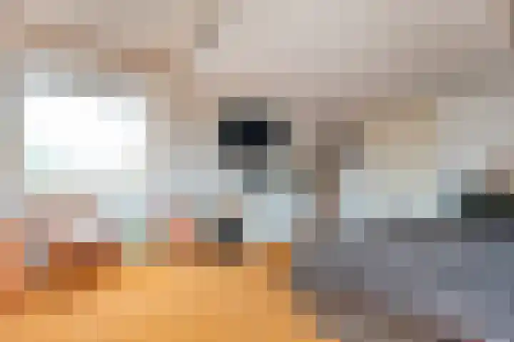 Goudvink 23 Olst thumbnail 28