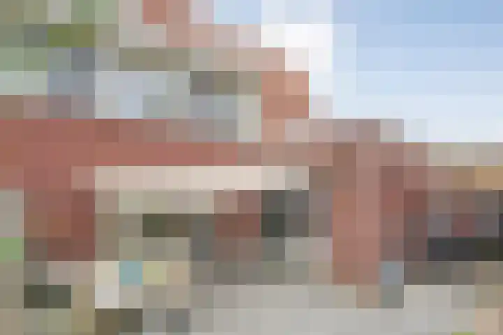 Goudvink 23 Olst thumbnail 29