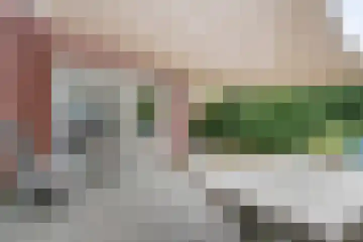 Goudvink 23 Olst thumbnail 30