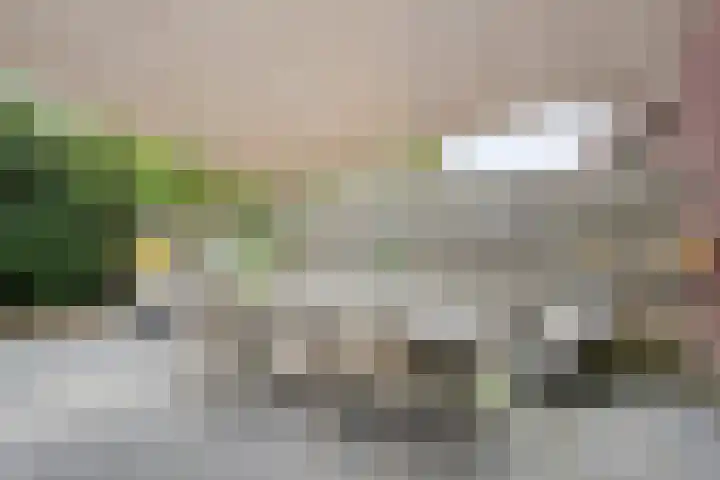 Goudvink 23 Olst thumbnail 31