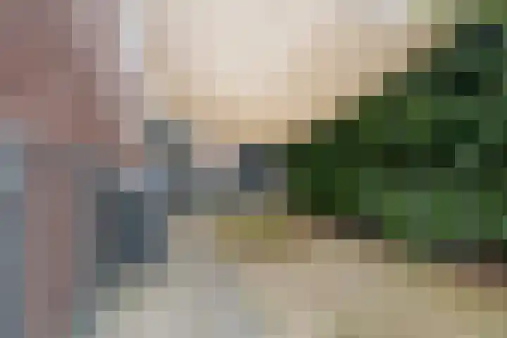 Goudvink 23 Olst thumbnail 32