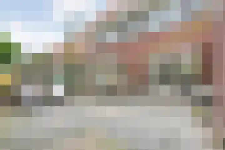 Goudvink 23 Olst thumbnail 33