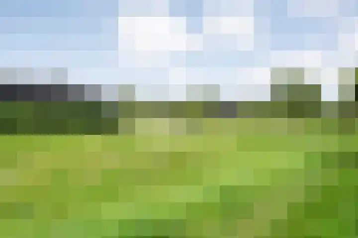 Goudvink 23 Olst thumbnail 35