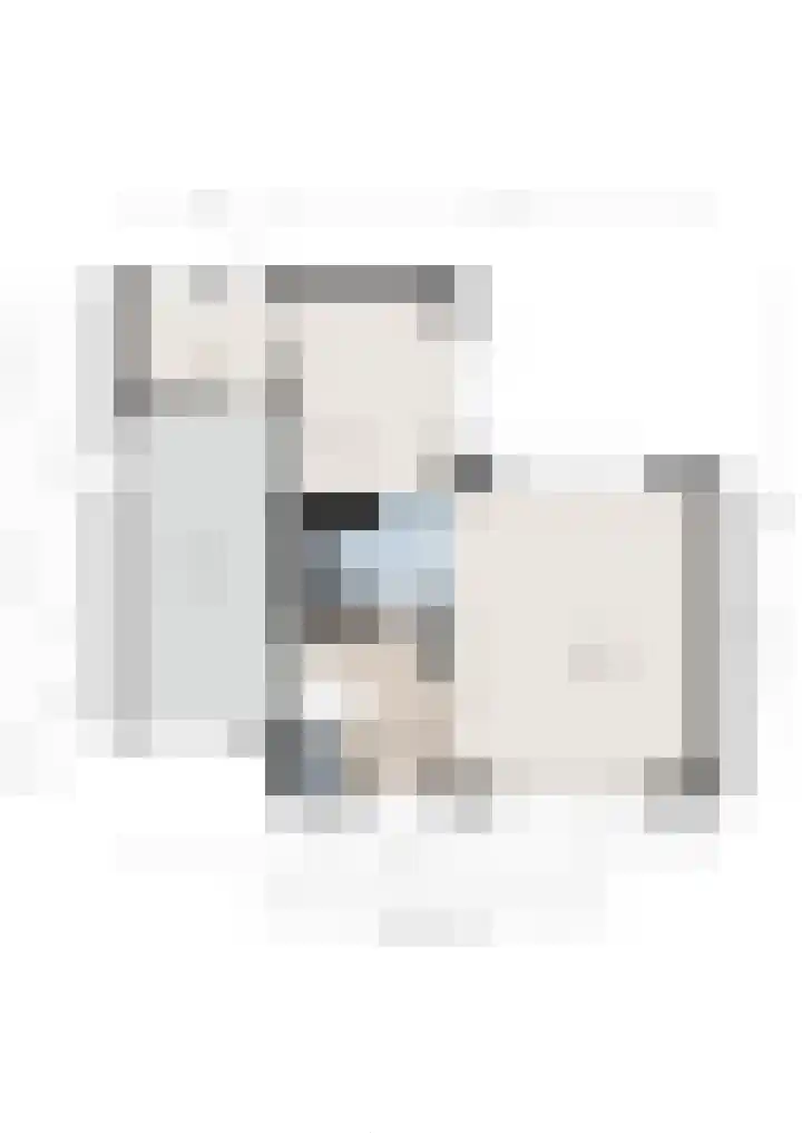 Goudvink 23 Olst thumbnail 37