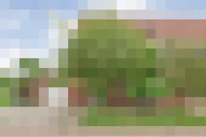 Goudvink 23 Olst thumbnail 40