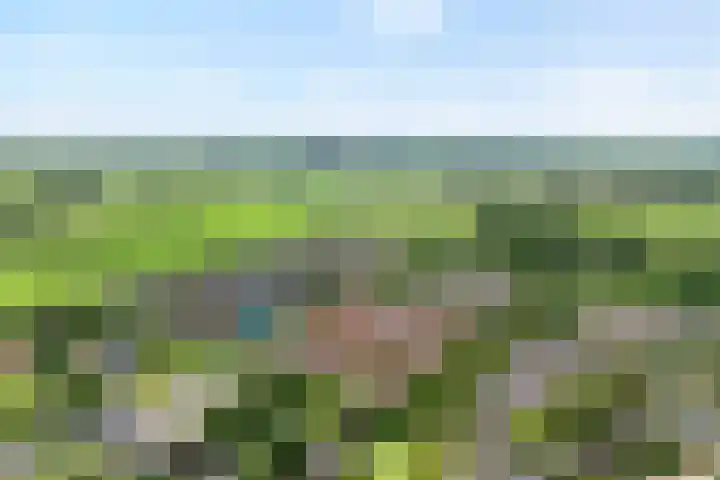Goudvink 23 Olst thumbnail 5