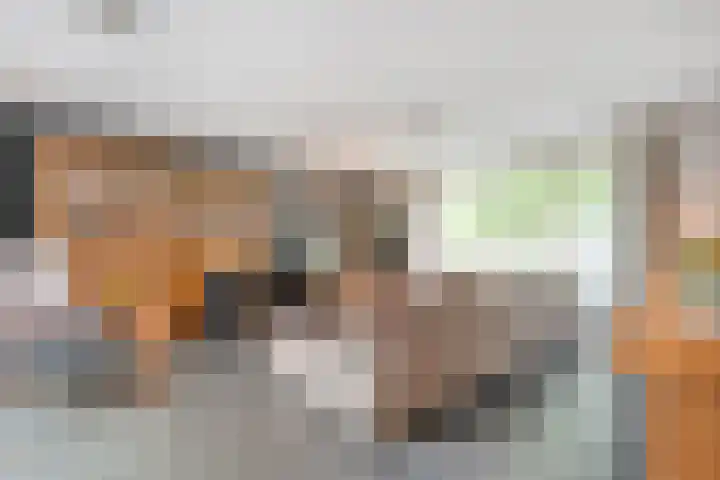 Goudvink 23 Olst thumbnail 8