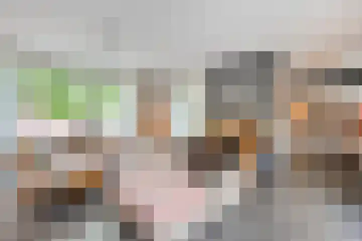 Goudvink 23 Olst thumbnail 9