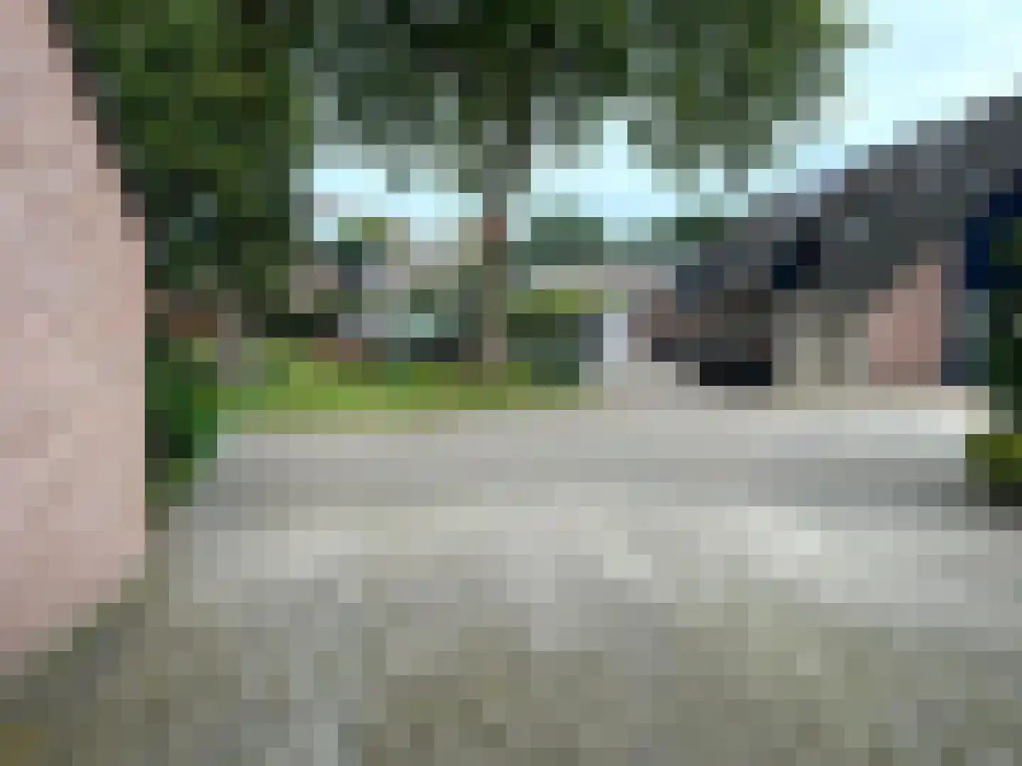 Goudvink 26 Emmen thumbnail 15