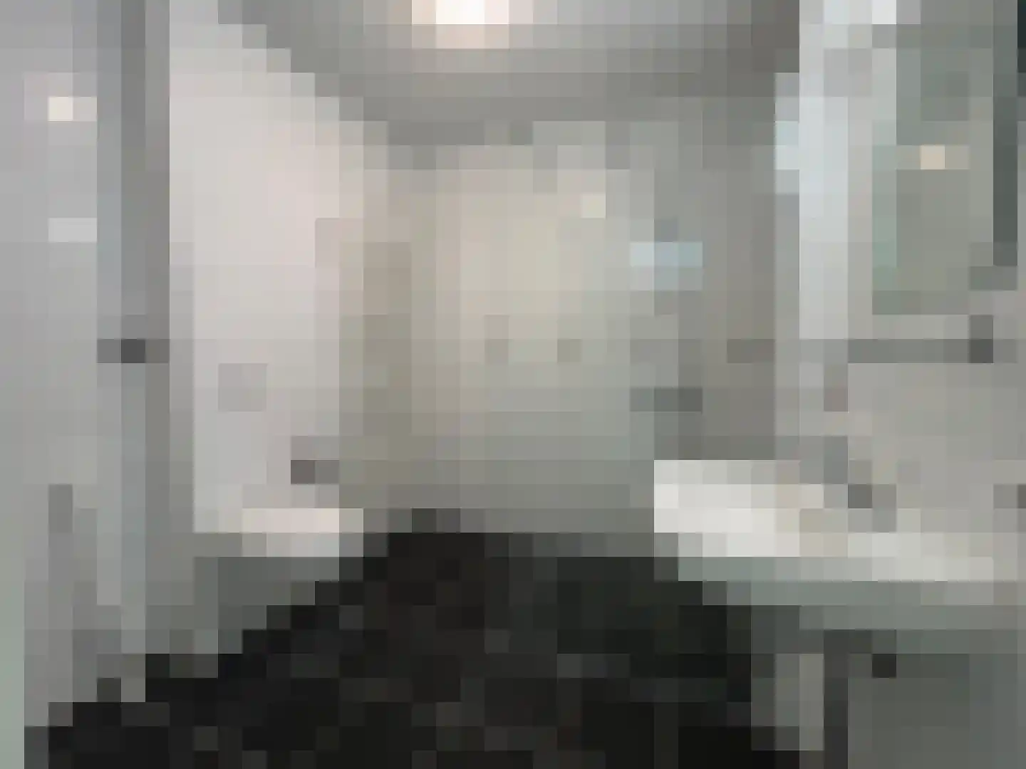Goudvink 26 Emmen thumbnail 23