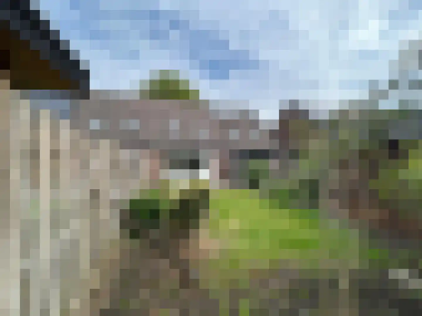Goudvink 26 Emmen thumbnail 31