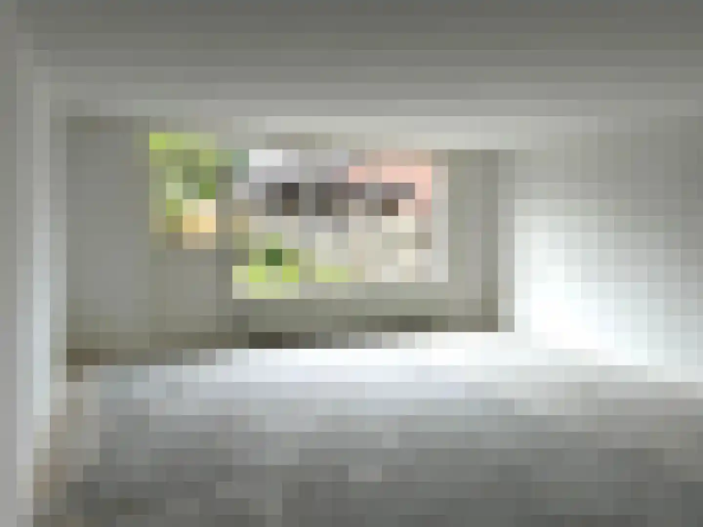Goudvink 26 Emmen thumbnail 9