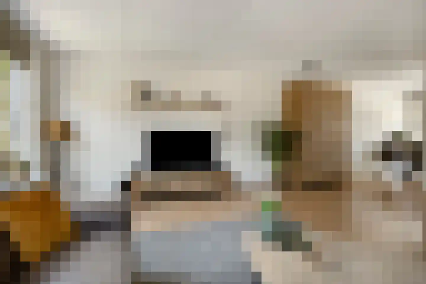 Goudvink 26 Numansdorp thumbnail 11