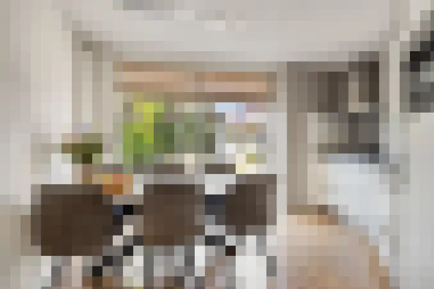 Goudvink 26 Numansdorp thumbnail 12