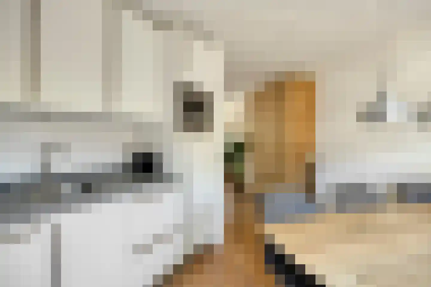 Goudvink 26 Numansdorp thumbnail 13
