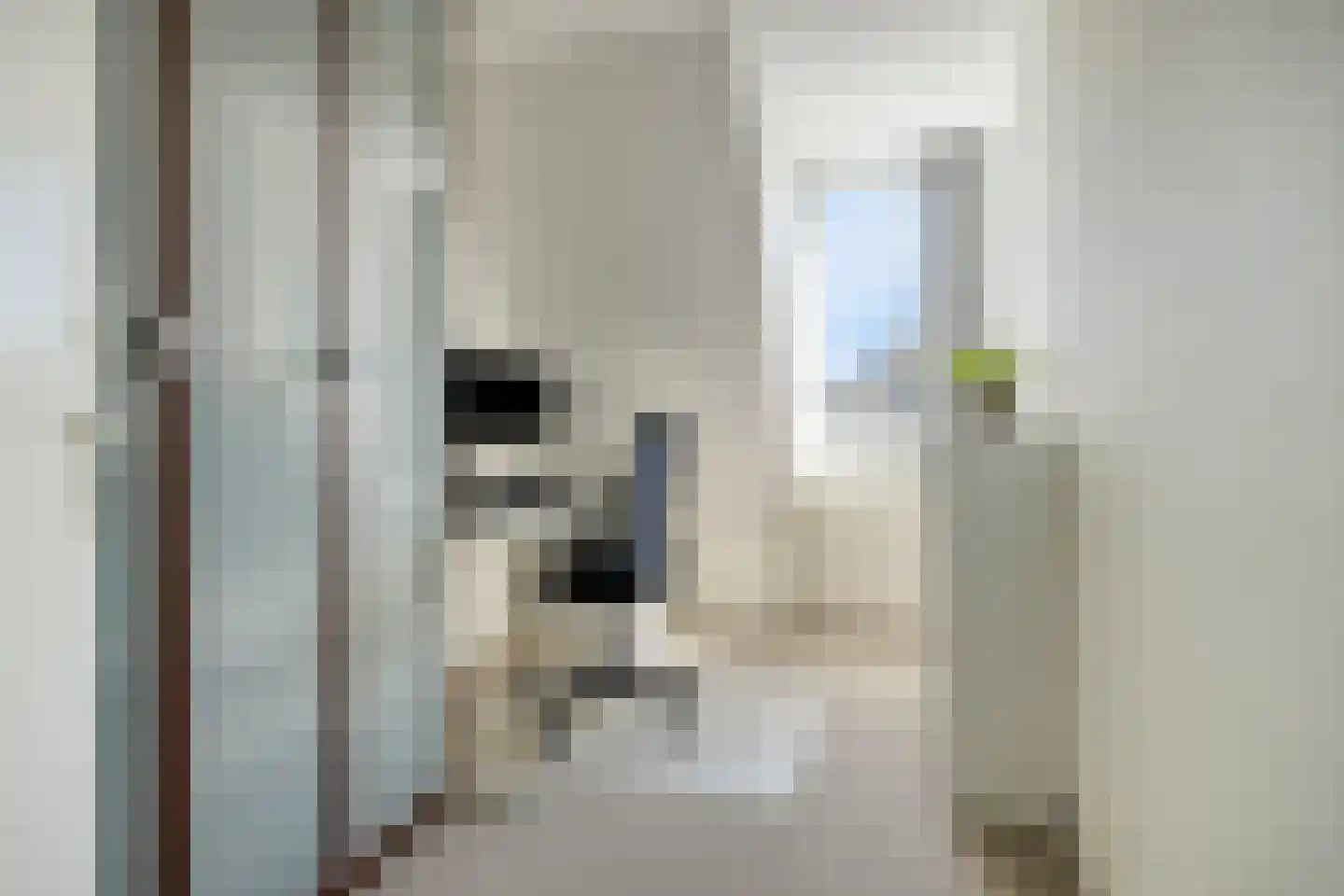 Goudvink 26 Numansdorp thumbnail 30