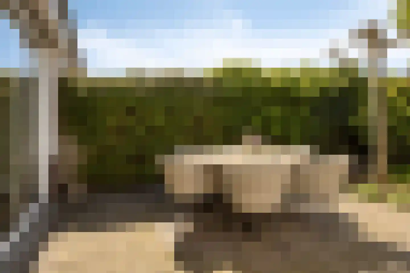 Goudvink 26 Numansdorp thumbnail 34