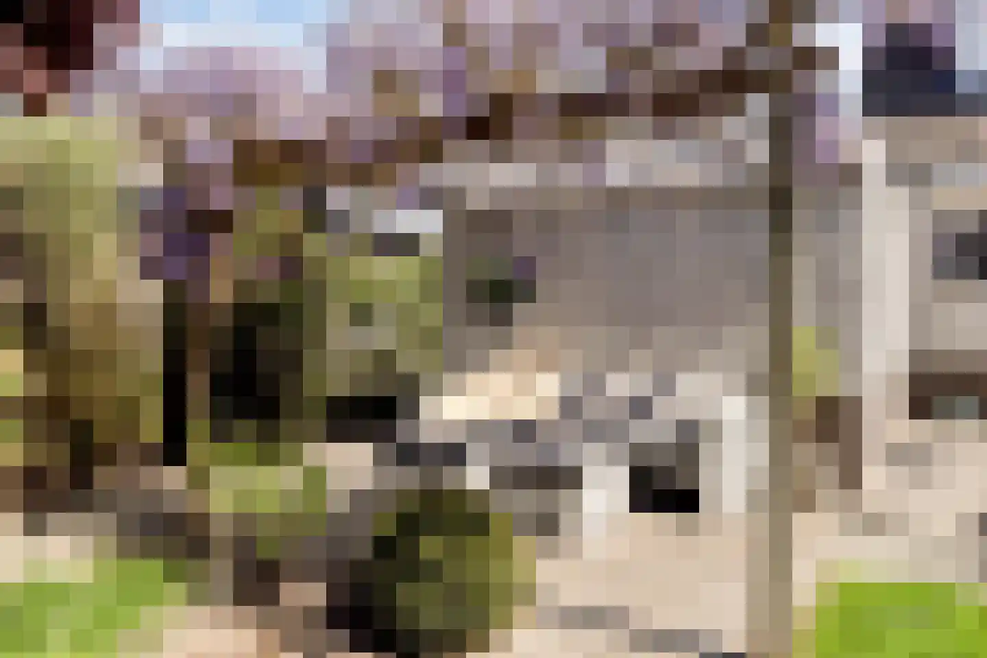 Goudvink 26 Numansdorp thumbnail 36