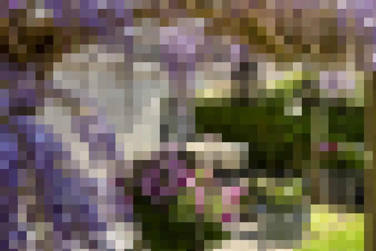 Goudvink 26 Numansdorp thumbnail 37