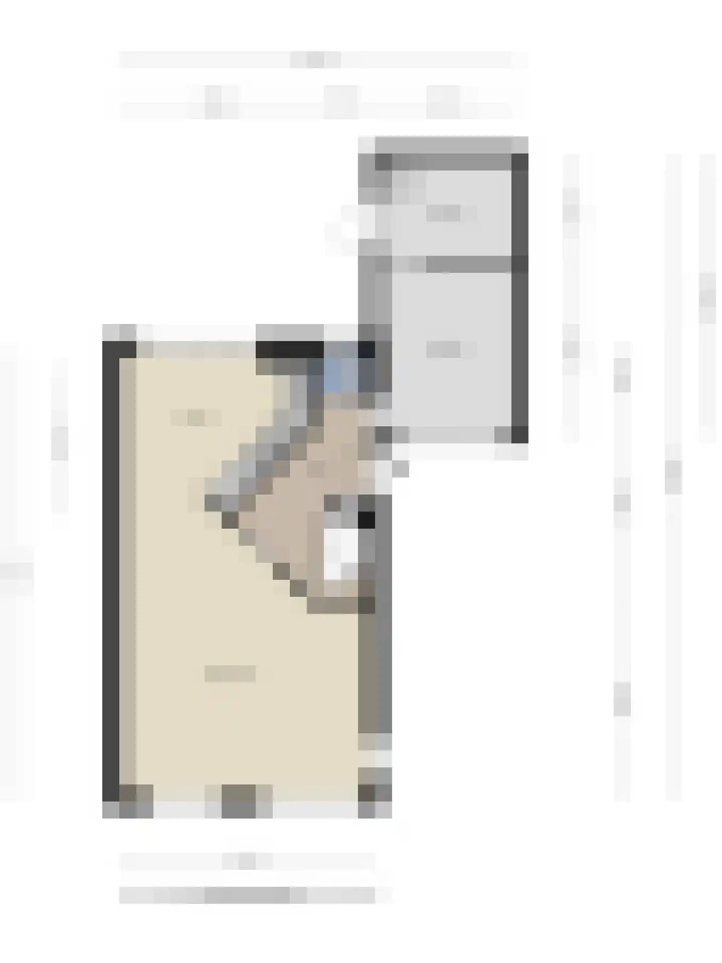 Goudvink 26 Numansdorp thumbnail 39