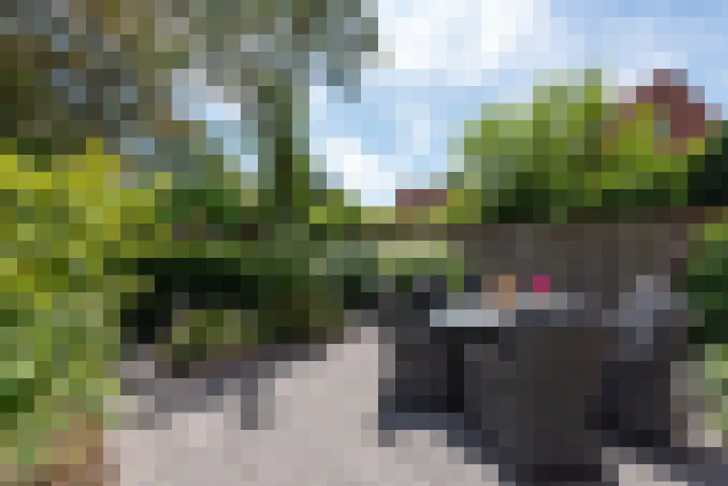Goudvink 28 Nieuwegein thumbnail 19