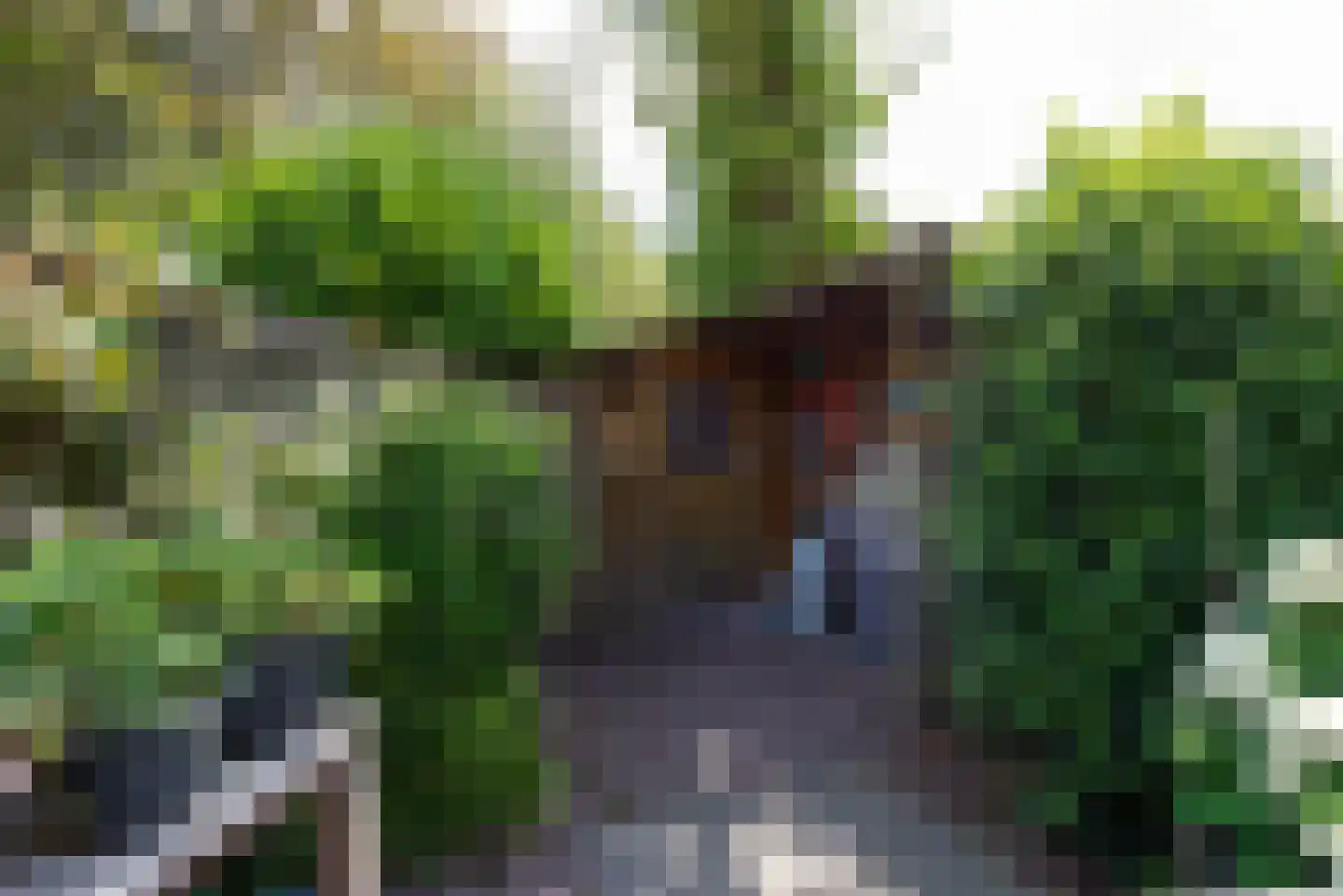 Goudvink 28 Nieuwegein thumbnail 21